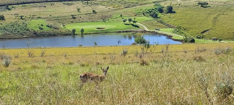0 Bedroom Property for Sale in Katberg Eastern Cape